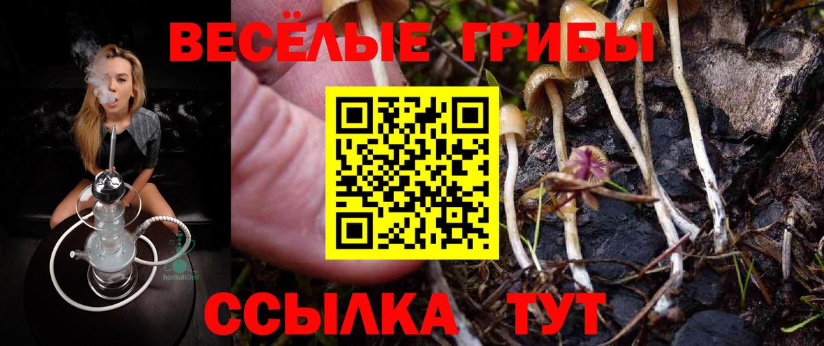 Галлюциногенные грибы Psilocybine cubensis  Вход с VPN  где можно купить наркотик  Урюпинск 