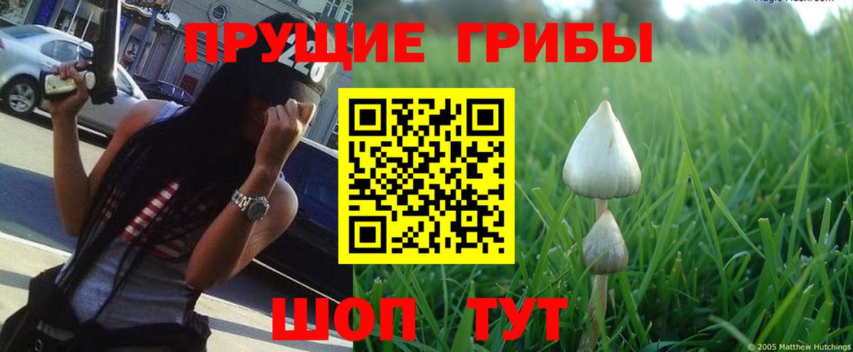 Галлюциногенные грибы Magic Shrooms Урюпинск